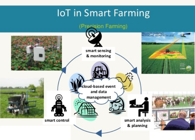 IoT in Smart Farming